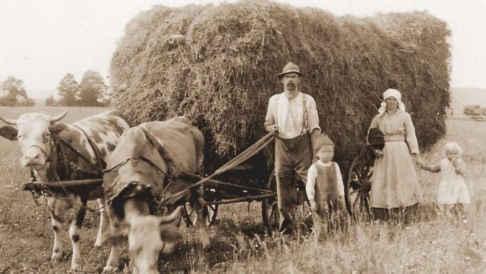 Horben Heuernte 1900