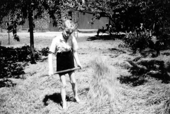 Ich selbst-Heuernte 1959